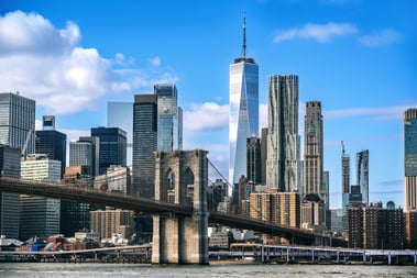Functional Devices New York Distributor RIB Relay